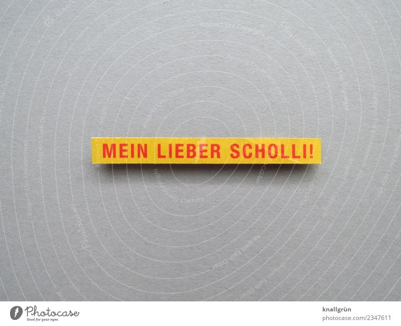 MEIN LIEBER SCHOLLI! Schriftzeichen Schilder & Markierungen Kommunizieren gelb rot Gefühle Stimmung Begeisterung Überraschung Ärger Krise Ausruf Umgangssprache