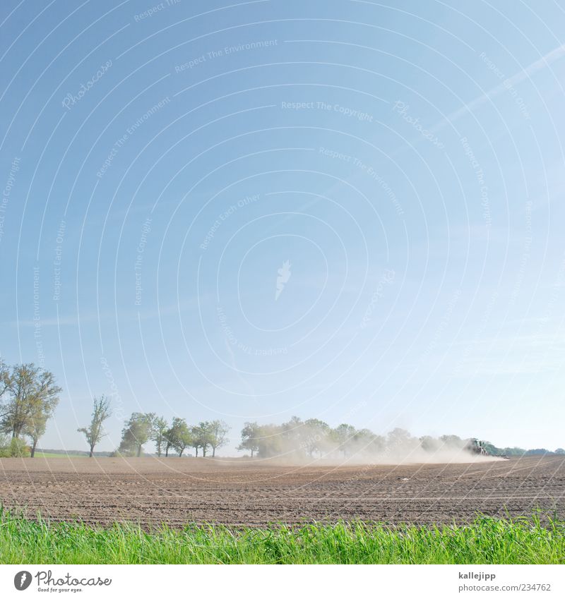 sich aus dem staub machen Arbeit & Erwerbstätigkeit Beruf Wirtschaft Umwelt Natur Landschaft Pflanze Luft Frühling Schönes Wetter Baum Gras Blatt Feld Traktor