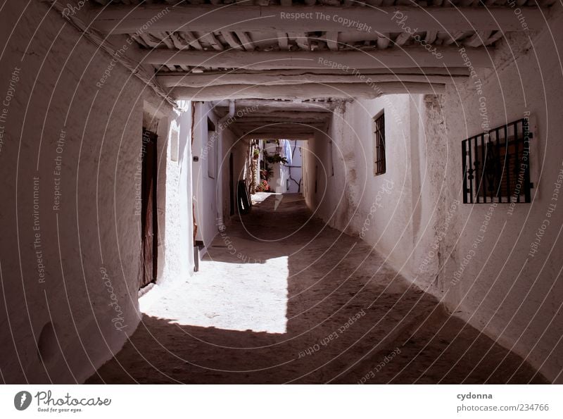 Schleichweg Ferien & Urlaub & Reisen Tourismus Ausflug Altstadt Haus Architektur Mauer Wand Fassade Tür Einsamkeit einzigartig ruhig Wege & Pfade Gang Gasse