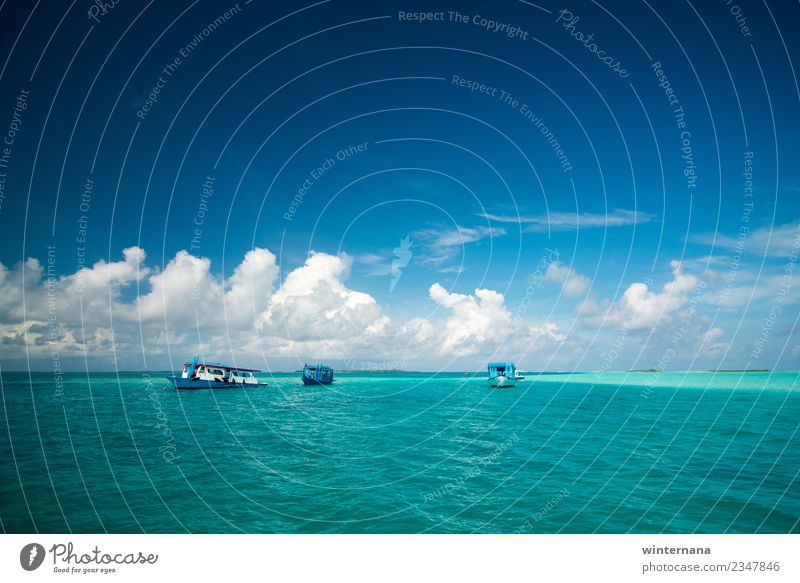 Drei Boote auf dem Meer Schwimmen & Baden Segeln tauchen Wasser Himmel Wolken Schönes Wetter Insel Bootsfahrt Motorboot außergewöhnlich frei Fröhlichkeit