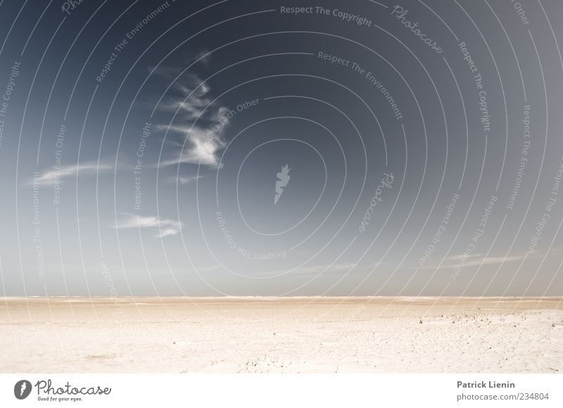 Spiekeroog | Sim Sala Bim Umwelt Natur Landschaft Urelemente Luft Himmel Wolken Sonnenlicht Klima Wetter Schönes Wetter schön Stimmung ästhetisch Einsamkeit