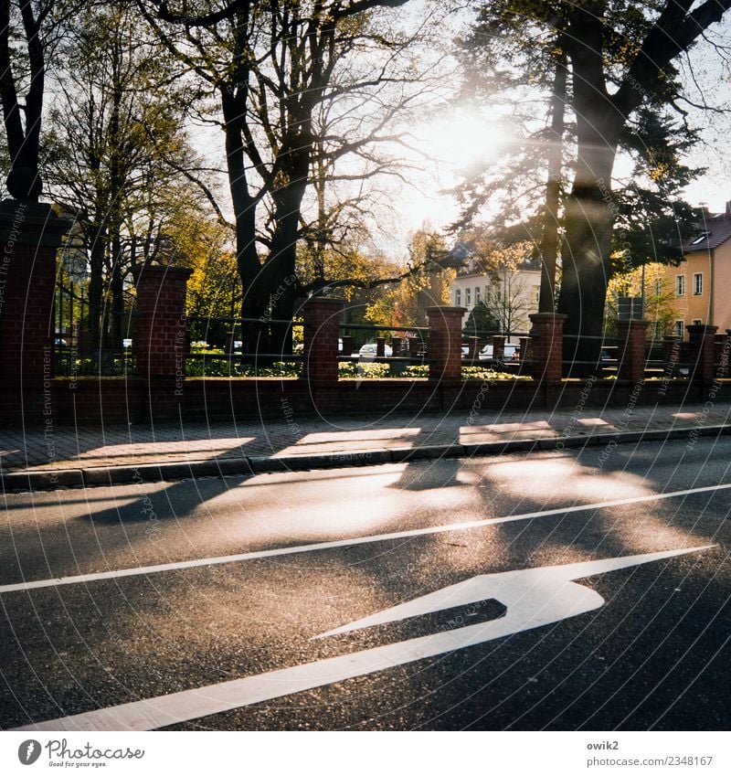 Kurve kriegen Sommer Schönes Wetter Baum Bautzen Lausitz Deutschland Kleinstadt Stadtzentrum bevölkert Haus Friedhof Soldatenfriedhof Mauer Wand Verkehrswege