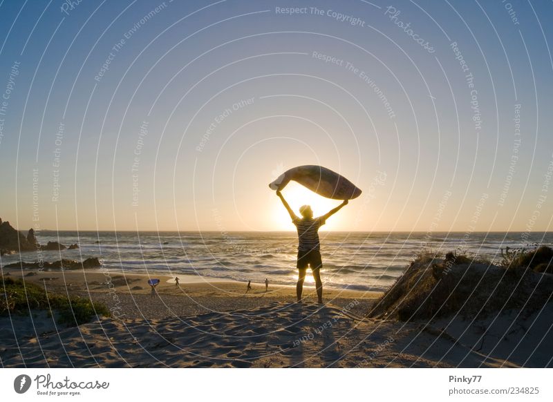 ein Sommerabend im Norden Sardiniens. Lifestyle Freude Erholung Ferien & Urlaub & Reisen Freiheit Sonne Strand Meer Mensch Mann Erwachsene 5 Natur Sand Himmel