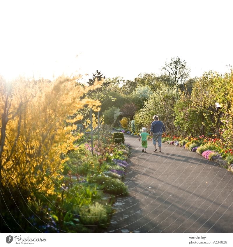 Gartenweg Mensch Kind Mädchen Junge Eltern Erwachsene Mutter Kindheit Leben 2 Pflanze Baum Blume Sträucher Straße laufen Warmherzigkeit Sympathie Freundschaft