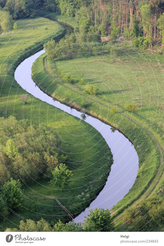 S Ausflug Umwelt Natur Landschaft Pflanze Wasser Frühling Schönes Wetter Baum Gras Sträucher Wiese Wald Flussufer ästhetisch authentisch schön natürlich blau