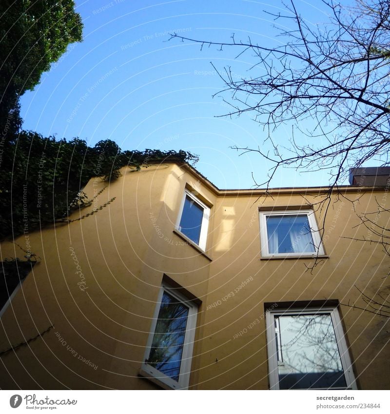 hinterhofansichten. Umwelt Wolkenloser Himmel Haus Bauwerk Gebäude Fassade Fenster blau gelb grün Perspektive Hinterhof Efeu Farbfoto Menschenleer