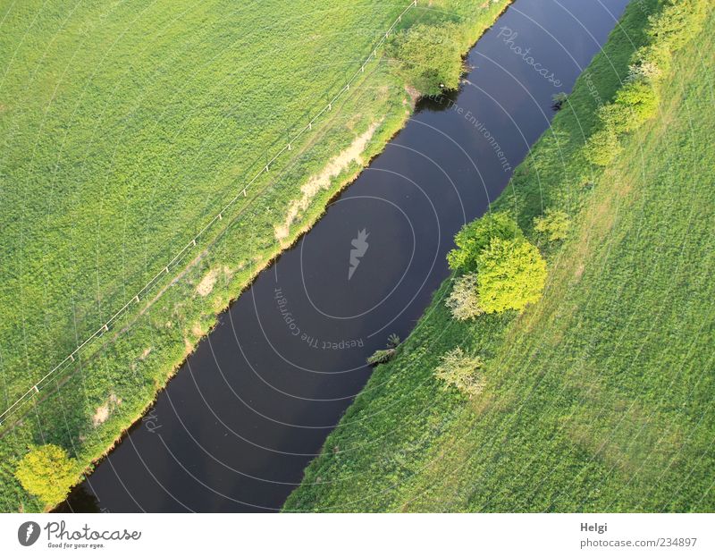 frisches Grün... Umwelt Natur Landschaft Pflanze Wasser Sonnenlicht Frühling Schönes Wetter Baum Gras Sträucher Flussufer Wachstum ästhetisch außergewöhnlich