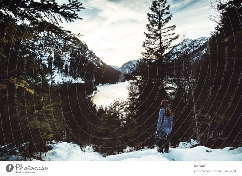 Aussicht am See Lifestyle Stil Wohlgefühl Zufriedenheit Erholung ruhig Freizeit & Hobby Ausflug Abenteuer Ferne Freiheit Mensch 1 Natur Landschaft Winter