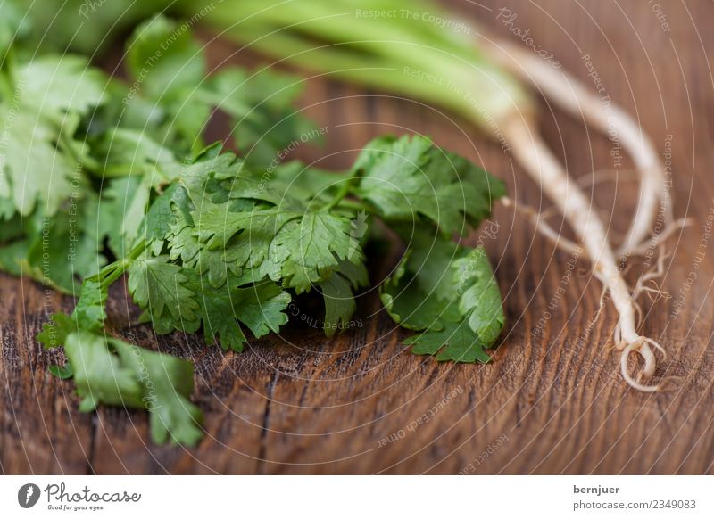 Koriander Lebensmittel Gemüse Bioprodukte Vegetarische Ernährung Billig gut Gewürz Wurzel holz asiatisch Foodfotografie rustikal Brett niemand Farbfoto