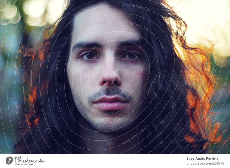 liedermacher. maskulin Haare & Frisuren Gesicht 1 Mensch schwarzhaarig langhaarig Locken schön einzigartig Bart Farbfoto Außenaufnahme Licht Porträt