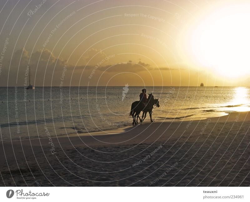 easy rider Reiten Reitsport Mensch 2 Sonnenaufgang Sonnenuntergang Strand Meer Karibisches Meer Pferd Tier Romantik ruhig Abenteuer ästhetisch Erholung Farbfoto