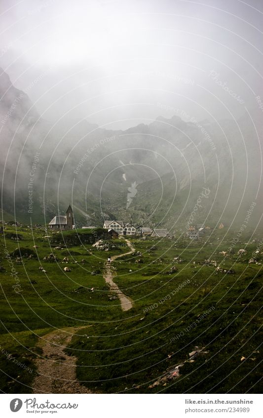 hänsels hexe hat angebaut ruhig Ferne Freiheit Berge u. Gebirge Umwelt Natur Landschaft Wolken Klima schlechtes Wetter Nebel Gras Hügel Felsen Alpen Alpstein