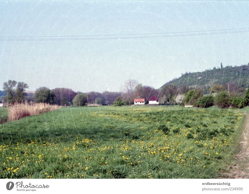 Knopfhäusle Natur Landschaft Pflanze Frühling Baum Blume Gras Sträucher Wiese Dorf Haus Einfamilienhaus grün ruhig ländlich Farbfoto Außenaufnahme Menschenleer