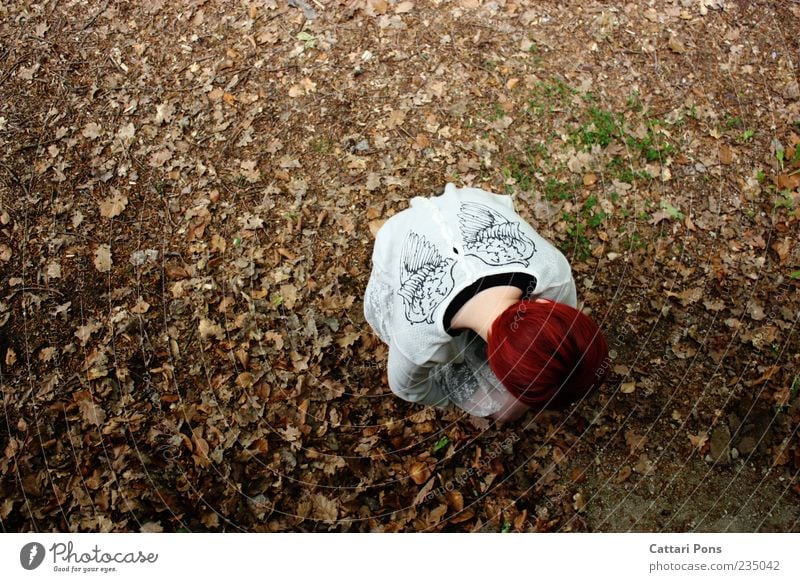 Sentimental Story Jugendliche 1 Mensch Pflanze Herbst Blatt Pullover rothaarig kurzhaarig hocken warten einzigartig dünn geduldig Flügel Engel hell Licht