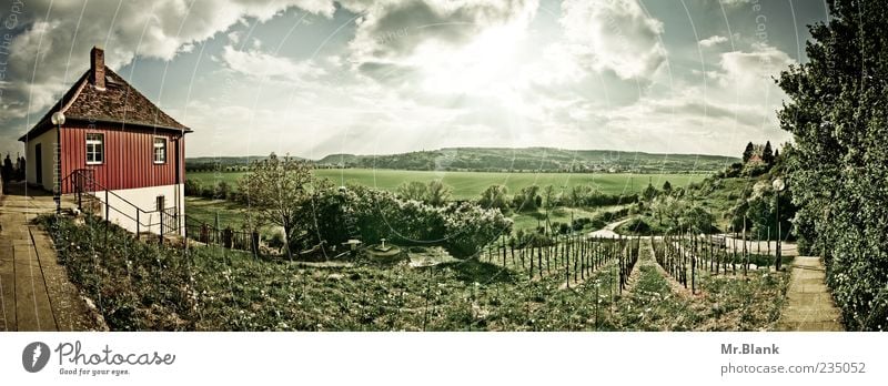 weinberge. Haus Blick Sonne Weinberg Himmel Landschaft grün Pflanze Farbfoto Außenaufnahme Tag Sonnenlicht Sonnenstrahlen Starke Tiefenschärfe