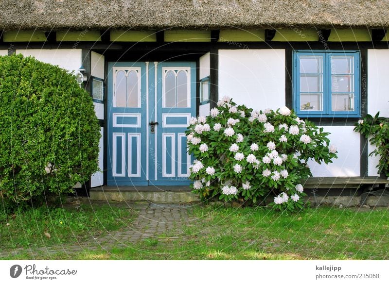 schöner wohnen Lifestyle Haus Garten Umwelt Natur Pflanze Frühling Klima Wetter Schönes Wetter Sträucher Blatt Blüte Grünpflanze Wiese Dorf Einfamilienhaus