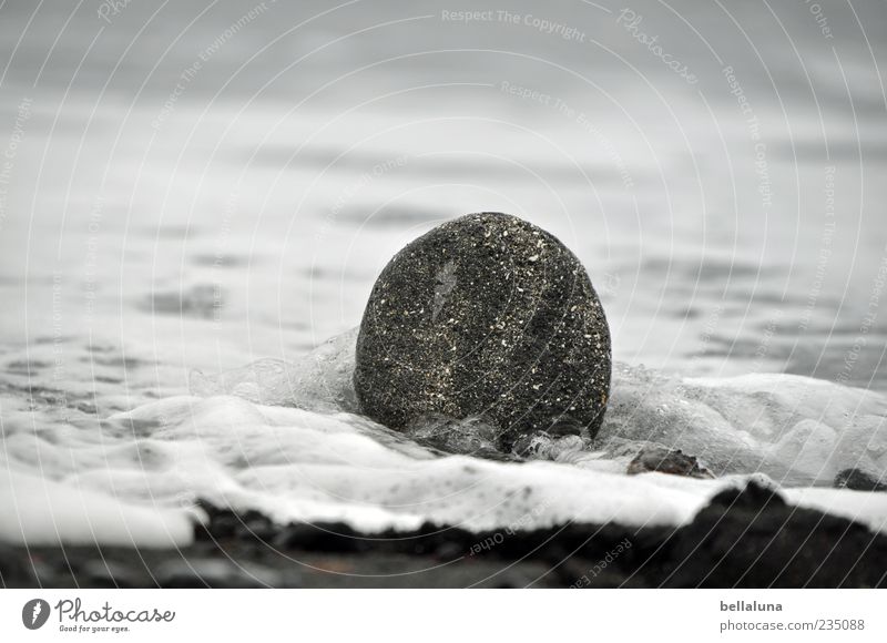 Der Fels in der Brandung Umwelt Natur Urelemente Erde Sand Wasser Sommer Herbst Schönes Wetter Wellen Küste Strand Meer Insel hell schön schwarz weiß Teneriffa