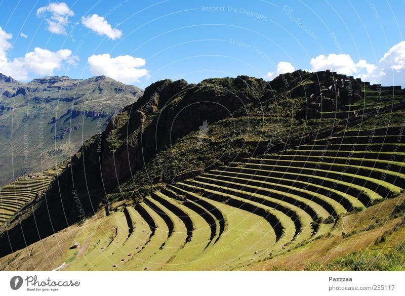 Inka-Schrebergärten Ferne Berge u. Gebirge Landschaft Felsen Anden grün antik Peru Terrasse Ruine Außenaufnahme Menschenleer Textfreiraum oben