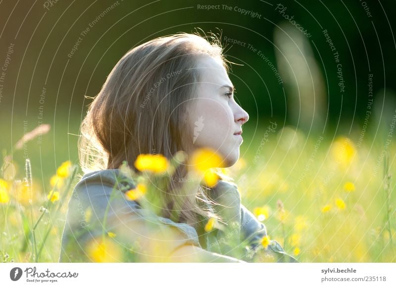 silence is golden Mensch feminin Junge Frau Jugendliche Leben Gesicht 1 Umwelt Natur Pflanze Frühling Sommer Blume Gras Blüte Wiese Erholung Blick sitzen