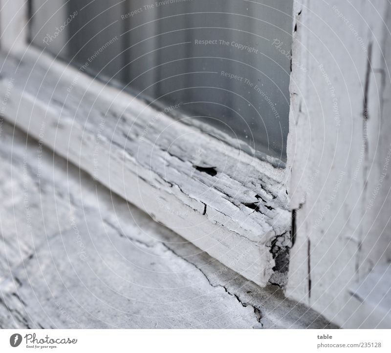 monochrome life Holz Glas alt grau weiß Endzeitstimmung Verfall Vergangenheit Vergänglichkeit Wandel & Veränderung Fenster Glasscheibe Fensterrahmen Farbstoff