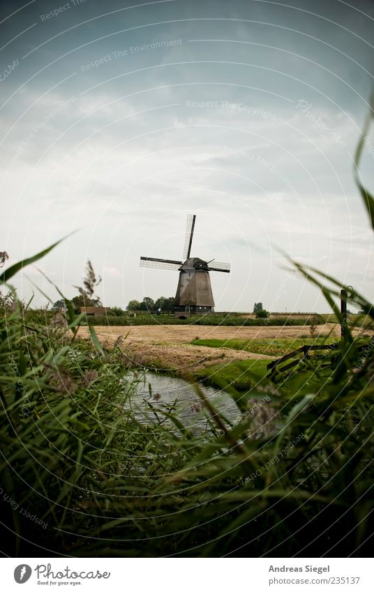 Schermerhoorn Sommer Natur Landschaft Himmel Schönes Wetter Gras Feld Niederlande Dorf Bauwerk Gebäude Windmühle Sehenswürdigkeit Wahrzeichen alt authentisch