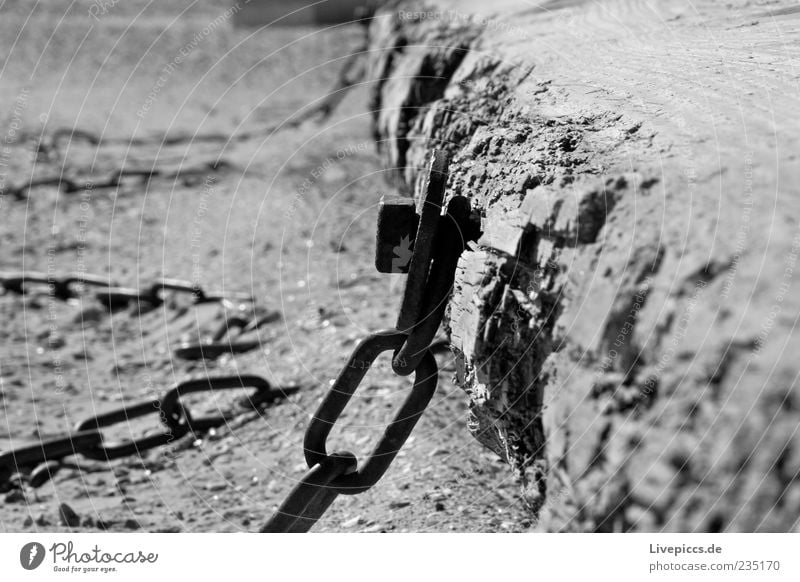 ...in chains... Sand Küste Strand Stahl alt dunkel Schwarzweißfoto Außenaufnahme Menschenleer Tag Kontrast Sonnenlicht Kette Befestigung Holz