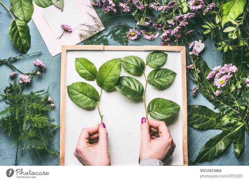 Weibliche Hände nalten grüne Zweige für Blumenstrauß Stil Design Freizeit & Hobby Dekoration & Verzierung Feste & Feiern feminin Frau Erwachsene Hand Pflanze