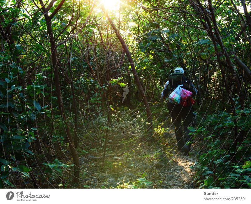 walk dady walk,... maskulin 1 Mensch 45-60 Jahre Erwachsene Umwelt Natur Pflanze Erde Sonne Sommer Baum Sträucher Grünpflanze Wildpflanze Urwald mehrfarbig grün