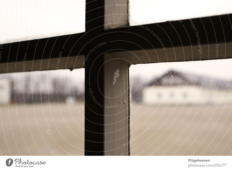 Gegen das Vergessen Menschenleer Fenster Denkmal Traurigkeit Ekel gruselig hässlich historisch Angst Entsetzen Todesangst Verzweiflung bedrohlich