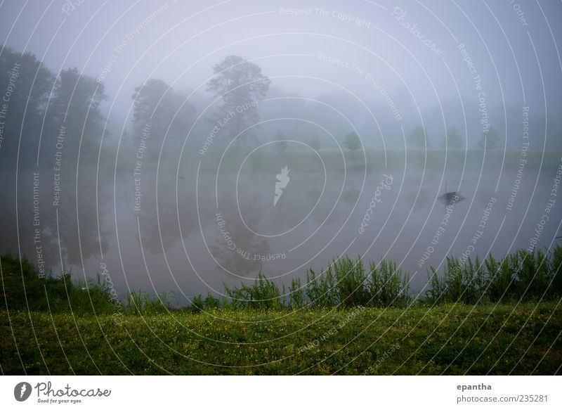 Teich mit Nebel Umwelt Natur Landschaft Wasser Wetter Gras Park Stimmung Erholung kalt ruhig schön Gedeckte Farben Außenaufnahme Menschenleer Textfreiraum oben