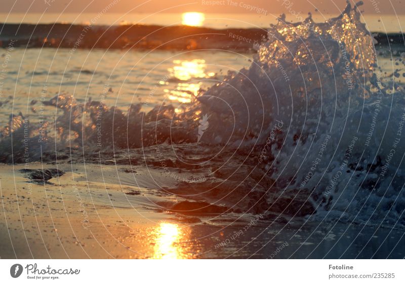 glühendes Wasser Umwelt Natur Landschaft Urelemente Wellen Küste Strand Meer heiß nass Wärme gold rot schwarz Farbfoto mehrfarbig Außenaufnahme Tag Licht