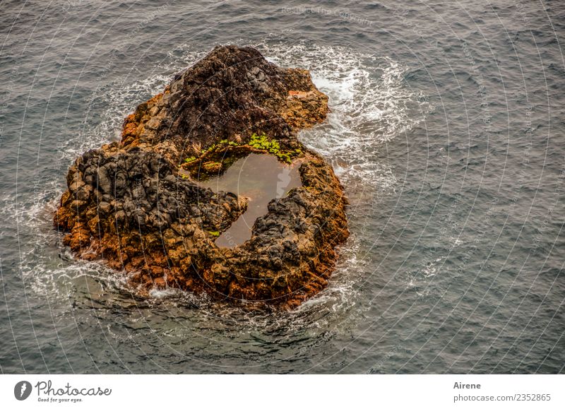 1100 | herz-lichen Dank Ferien & Urlaub & Reisen Meer Urelemente Wasser schlechtes Wetter Wind Sturm Wellen Insel Teich Madeira Herz dunkel gruselig wild braun