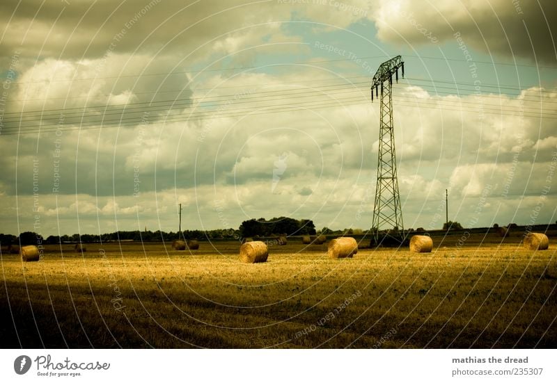 SONNENFLECK Energiewirtschaft Umwelt Natur Landschaft Himmel Wolken Horizont Sommer Schönes Wetter Wind Baum Feld schön Strohballen Ernte Strommast hell Licht