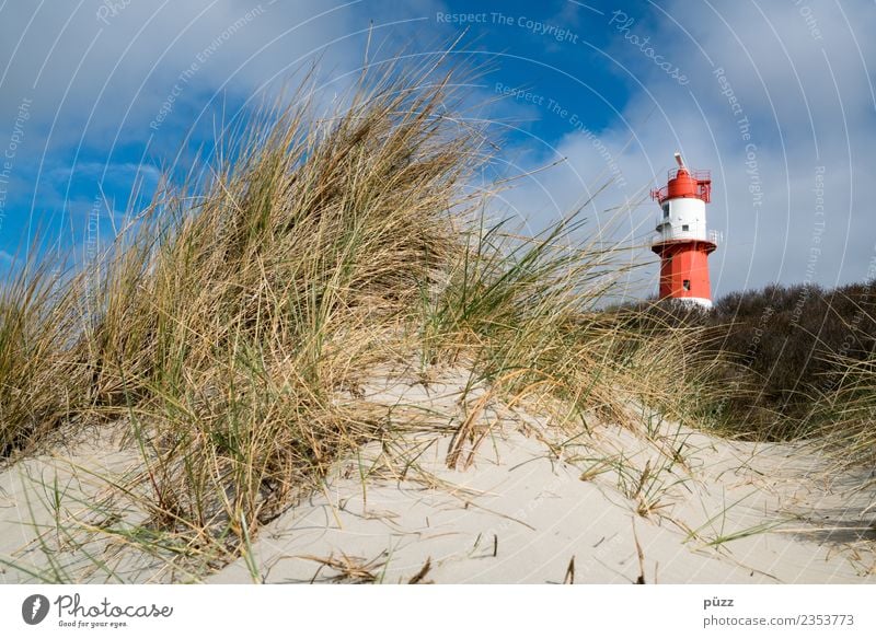 Leuchtturm Ferien & Urlaub & Reisen Tourismus Ferne Freiheit Sommer Sommerurlaub Sonne Strand Meer Insel Natur Landschaft Sand Himmel Wolken Schönes Wetter Gras