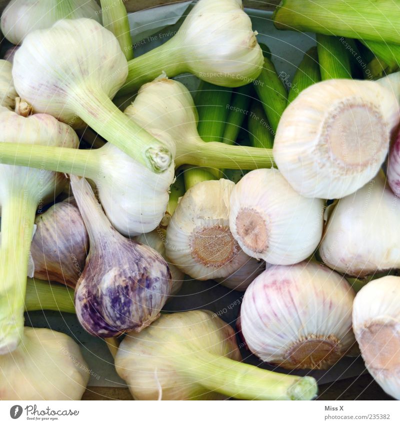 Knoblauch Lebensmittel Gemüse Kräuter & Gewürze Ernährung Bioprodukte Vegetarische Ernährung Duft frisch Gesundheit lecker Knoblauchknolle Knolle Wochenmarkt