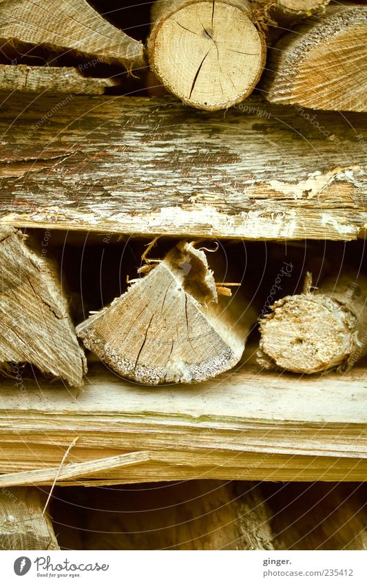 Der nächste Winter kommt bestimmt... Holz braun Vorrat Stapel Maserung zerborsten gesplittert Brennholz Brennstoff quer rund Vorsorge natürlich natürliche Farbe