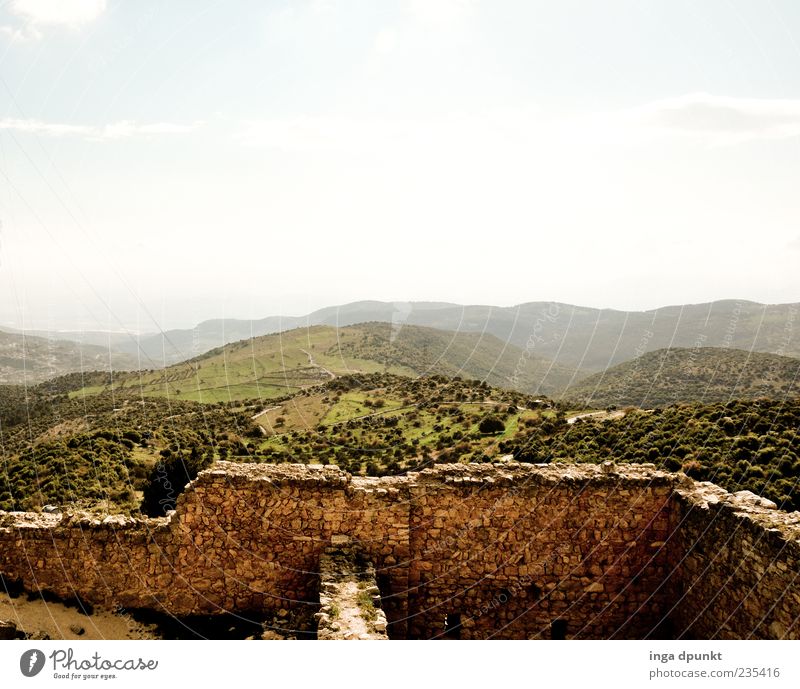 Fairyland Jordan Umwelt Natur Landschaft Pflanze Feld Hügel Landwirtschaft Jordanien Naher und Mittlerer Osten Amman Menschenleer Burg oder Schloss Ruine