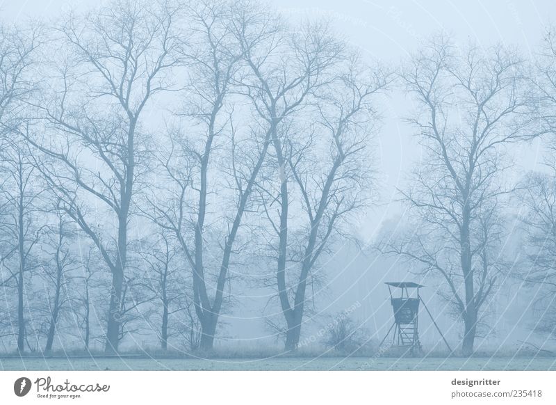 Alleinherrschaft Beruf Baum Feld Wald Turm Blick warten bedrohlich wild Angst gefährlich Hochsitz Macht Morgen Farbfoto Gedeckte Farben Außenaufnahme