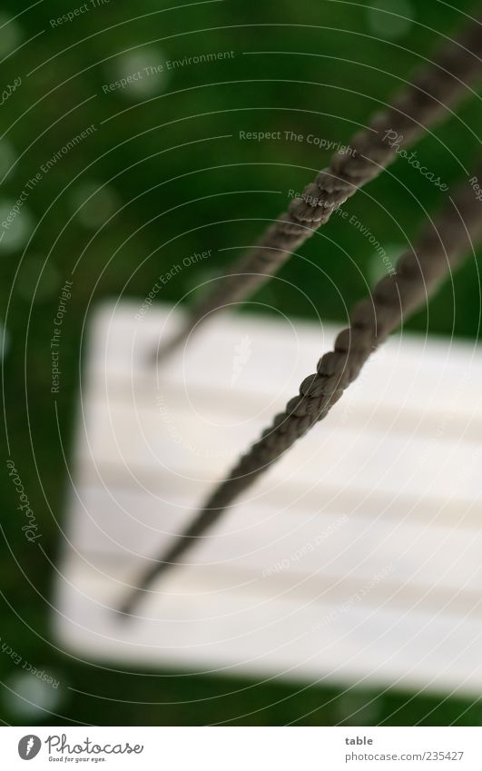 ausgeschaukelt... Schaukel Seil Garten Rasen Spielplatz Holz hängen dunkel grau grün weiß ruhig Einsamkeit stagnierend Farbfoto Außenaufnahme Detailaufnahme