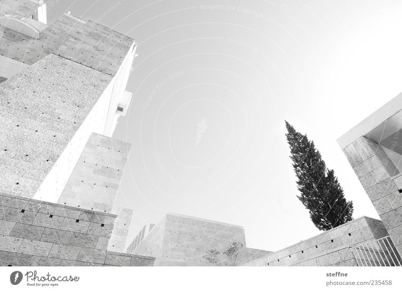 weihnachtsbaum der zukunft Baum Lissabon Portugal Bauwerk Architektur Mauer Wand modern Stadt Zukunft Tanne Beton Stein Museum Sommer Schwarzweißfoto