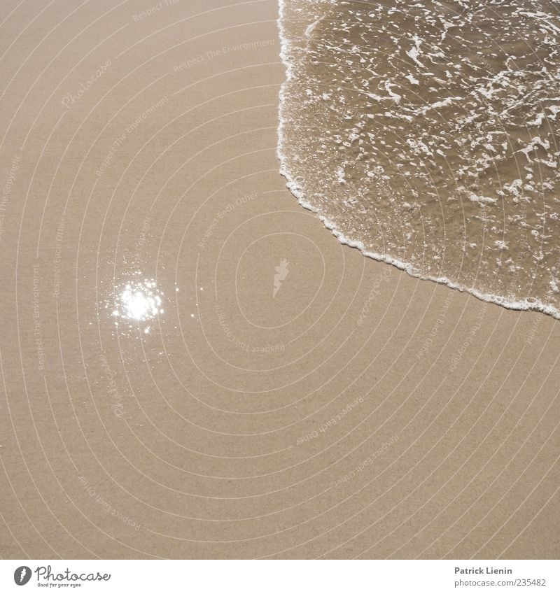 sun is shining Umwelt Natur Urelemente Sand Wasser Sonne Wetter Schönes Wetter Küste Strand Nordsee Meer ästhetisch Bewegung Leichtigkeit rund Farbfoto