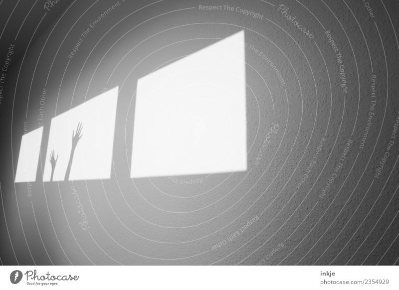 zu Hilfe Schatten Fenster Licht Spielen Farbfoto Kontrast Schattenspiel graphisch eckig Fensterfront Wand hell Menschenleer Raum Innenaufnahme diagonal Flur