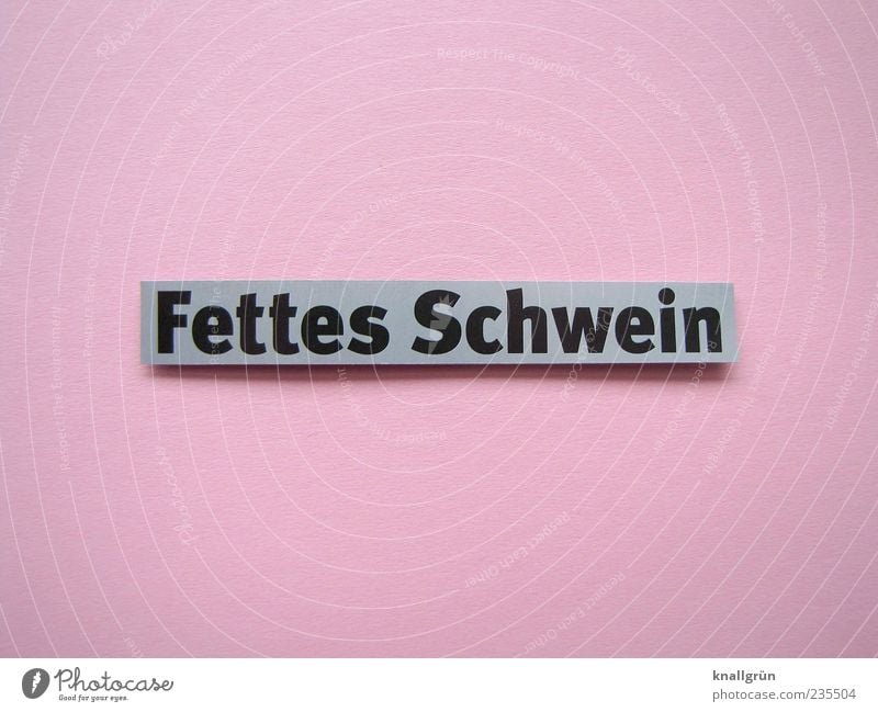 Fettes Schwein Schriftzeichen grau rosa schwarz Beleidigung Wohlstandsgesellschaft Farbfoto Studioaufnahme Menschenleer Textfreiraum oben Textfreiraum unten