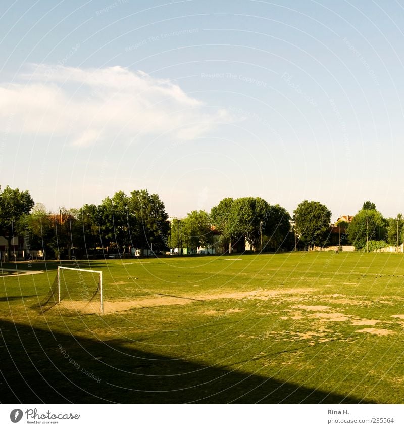 Halbzeit Sportstätten Fußballplatz Sportplatz Himmel Schönes Wetter Baum Wiese grün Pause Tor Farbfoto Außenaufnahme Textfreiraum oben Licht Kontrast