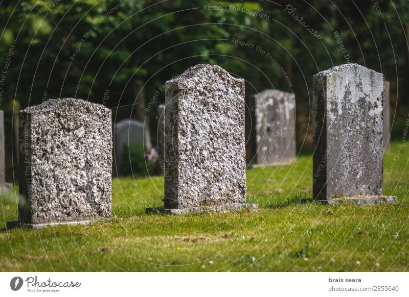 Friedhof Gesundheit Seniorenpflege Rauschmittel Leben Halloween Trauerfeier Beerdigung Gras Park Kirche Sehenswürdigkeit Denkmal Stein Zeichen