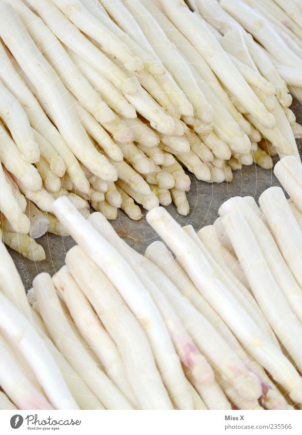 Weißer Spargel Lebensmittel Gemüse Ernährung Bioprodukte Vegetarische Ernährung frisch Gesundheit lang lecker Spargelzeit Spargelspitze Wochenmarkt Gemüsemarkt