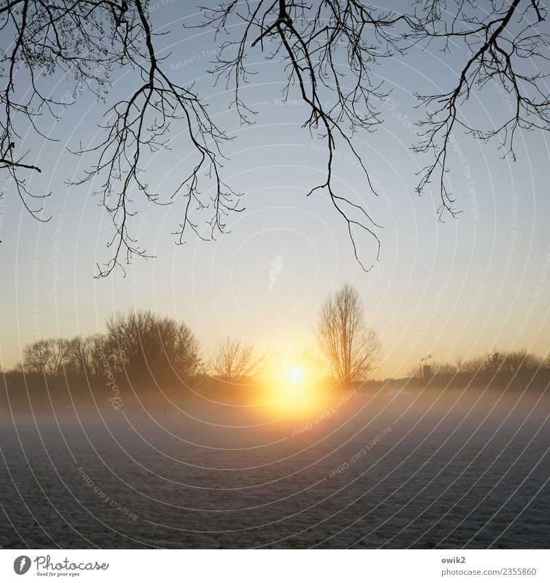 Korona Nebel mystische Landschaft Sonnenlicht Gegenlicht strahlen leuchten Sonnenuntergang Lichterscheinung Kontrast Schönes Wetter dramatisch glänzend