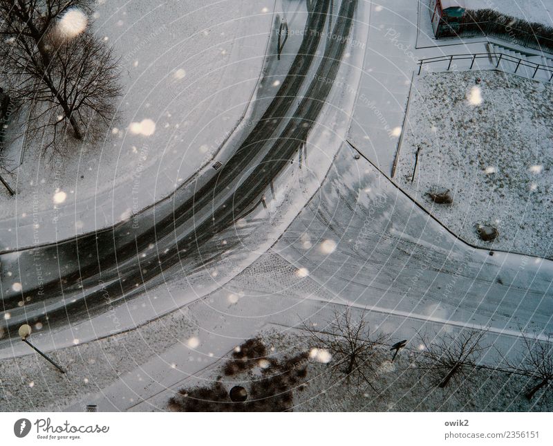 Verschneite Kurve Winter Schnee Schneefall Baum Gras Bautzen Lausitz Deutschland Verkehr Verkehrswege Straße Seitenstraße Straßenbeleuchtung glänzend modern