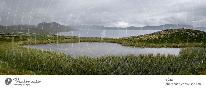 Weite Umwelt Natur Landschaft Urelemente Luft Wasser Himmel Wolken Sommer Wetter schlechtes Wetter Regen Pflanze Gras Moos Felsen Berge u. Gebirge Küste Seeufer