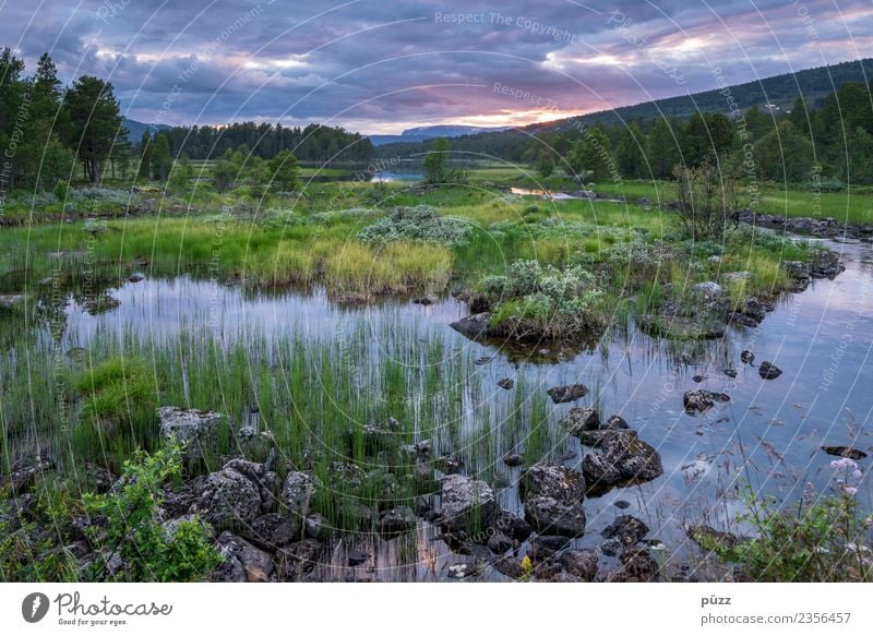 Abenddämmerung Umwelt Natur Landschaft Wasser Himmel Wolken Sommer Baum Gras Sträucher Feld Wald Flussufer See Norwegen wandern blau grün Gefühle Zufriedenheit